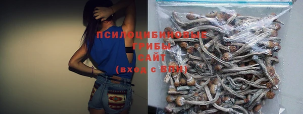 прущие грибы Арсеньев