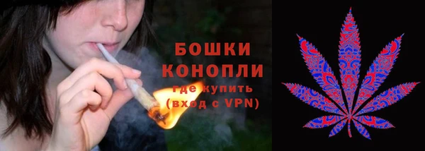трава Армянск