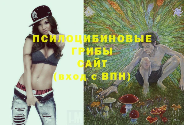 трава Армянск