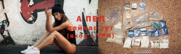прущие грибы Арсеньев