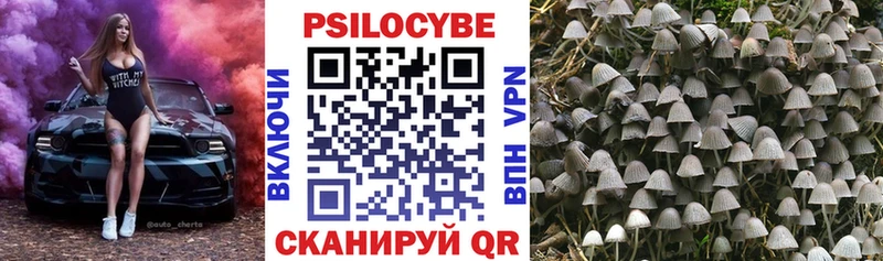 Псилоцибиновые грибы GOLDEN TEACHER  Купить где  Лыткарино 